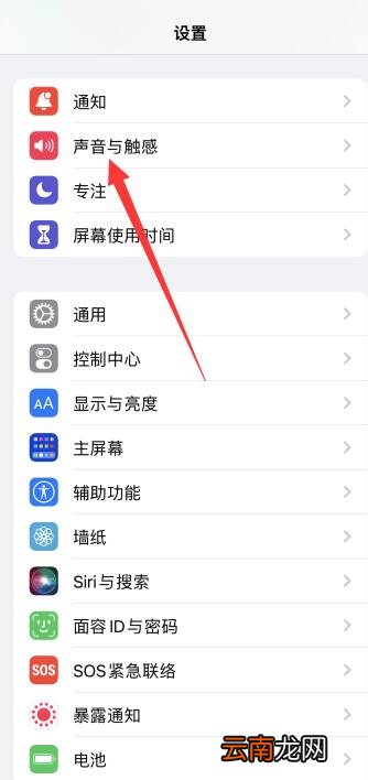 iPhone12闹铃声音大小怎么设置