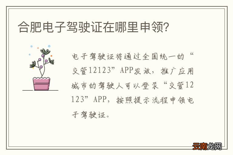 合肥电子驾驶证在哪里申领？