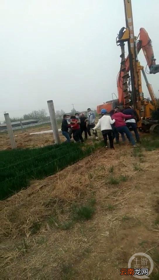 河北建电站百亩麦田被强铲，项目负责人被刑拘，镇党委书记镇长免职