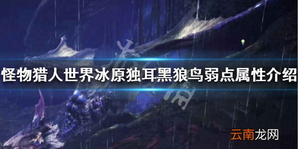 怪物猎人世界冰原独耳黑狼鸟弱点属性介绍 独耳黑狼鸟弱什么_网
