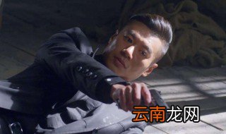 光影大结局 夏安国打败藤崎