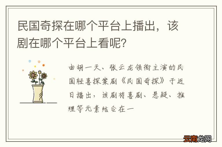 民国奇探在哪个平台上播出,该剧在哪个平台上看呢?