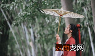 文雅古风的小组名 文雅古风的小组名精选