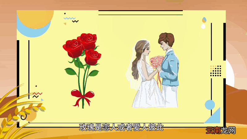 33朵玫瑰花语 33朵玫瑰花语是什么