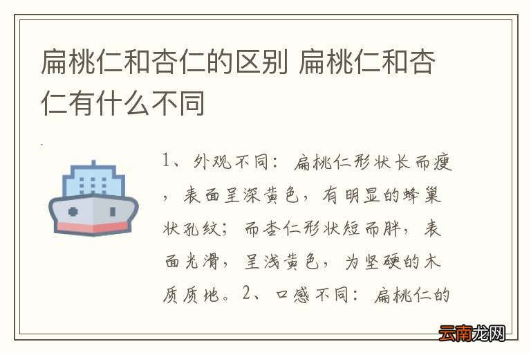 扁桃仁和杏仁的区别 扁桃仁和杏仁有什么不同