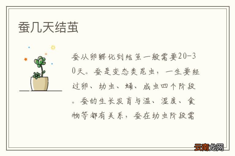 蚕几天结茧