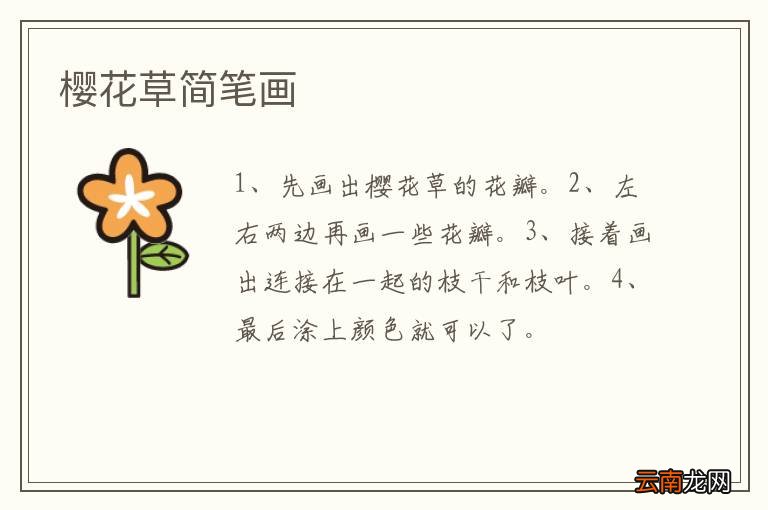 樱花草简笔画