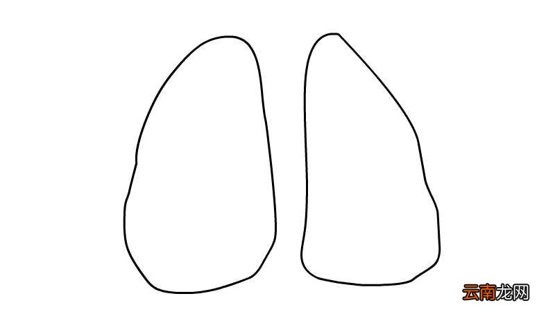 肺炎卡通简笔画画法步骤