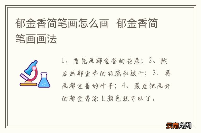 郁金香简笔画怎么画郁金香简笔画画法