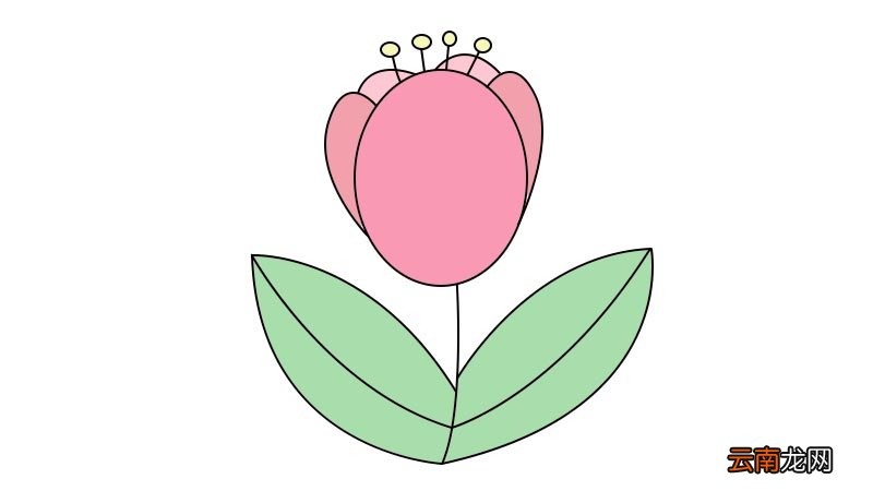 郁金香简笔画怎么画郁金香简笔画画法