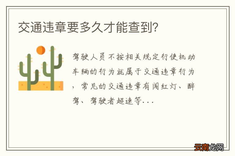 交通违章要多久才能查到？