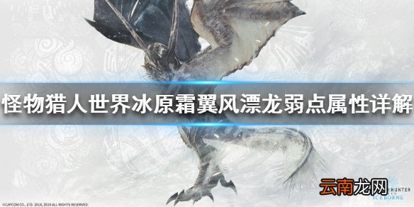 怪物猎人世界冰原霜翼风漂龙弱点属性 霜翼风漂龙弱什么属性_网