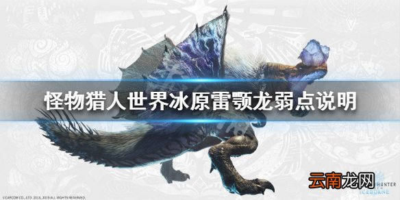 怪物猎人世界冰原雷颚龙弱什么 雷颚龙弱点说明_网