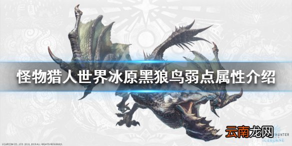 怪物猎人世界冰原黑狼鸟弱什么属性 黑狼鸟弱点属性介绍_网