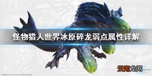 怪物猎人世界冰原碎龙弱点属性详解 碎龙弱什么属性_网