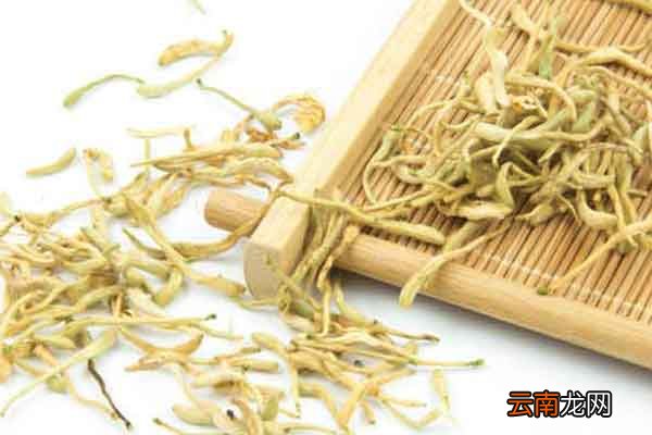 金银花的功效金银花禁忌人群