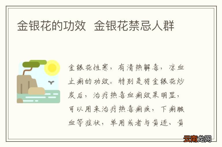 金银花的功效金银花禁忌人群