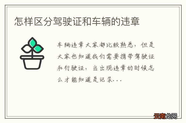 怎样区分驾驶证和车辆的违章