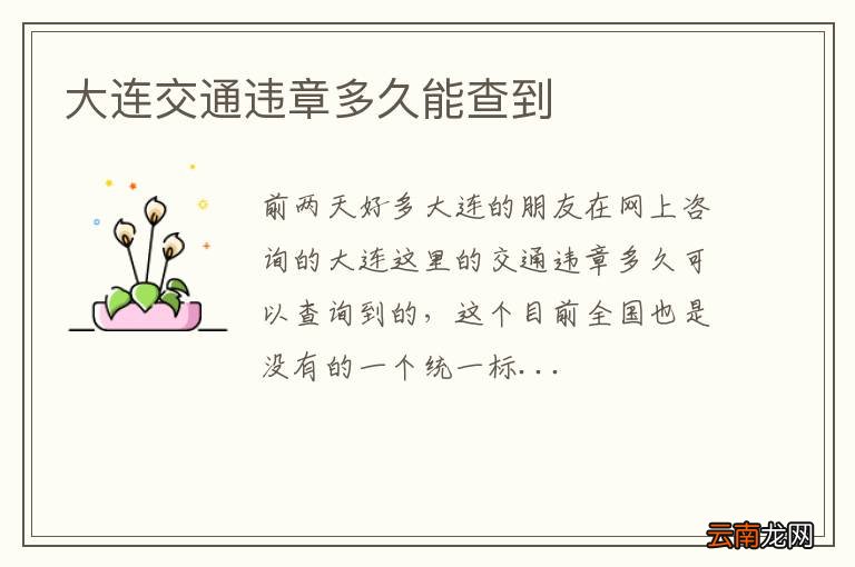 大连交通违章多久能查到