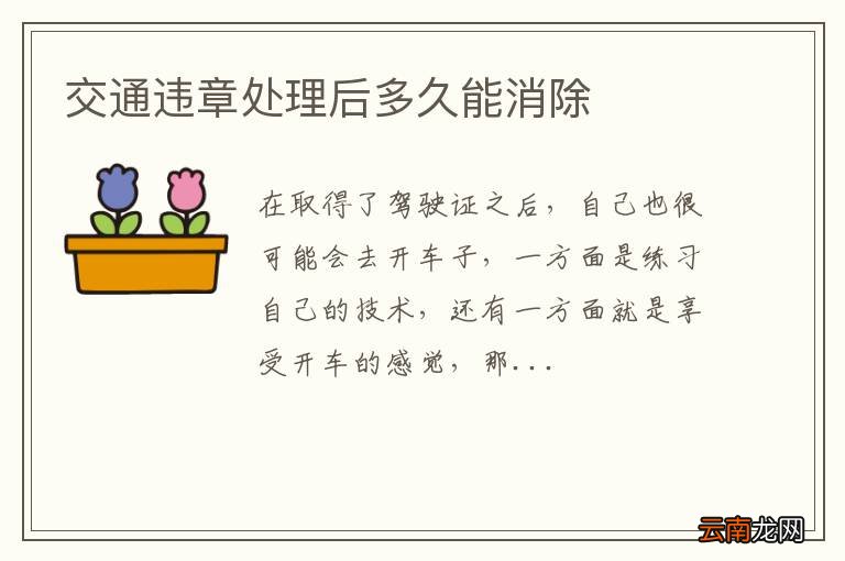 交通违章处理后多久能消除