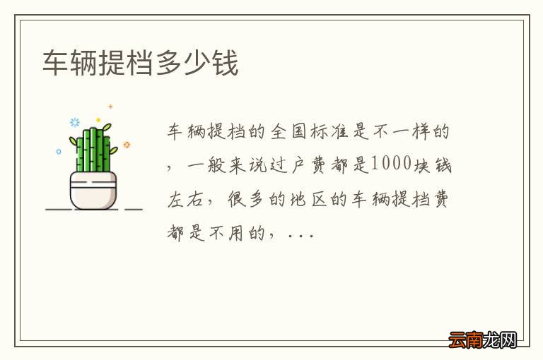 车辆提档多少钱