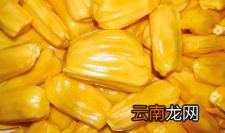 菠萝蜜丝吃法 菠萝蜜丝的四种吃法