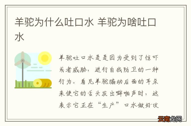 羊驼为什么吐口水 羊驼为啥吐口水