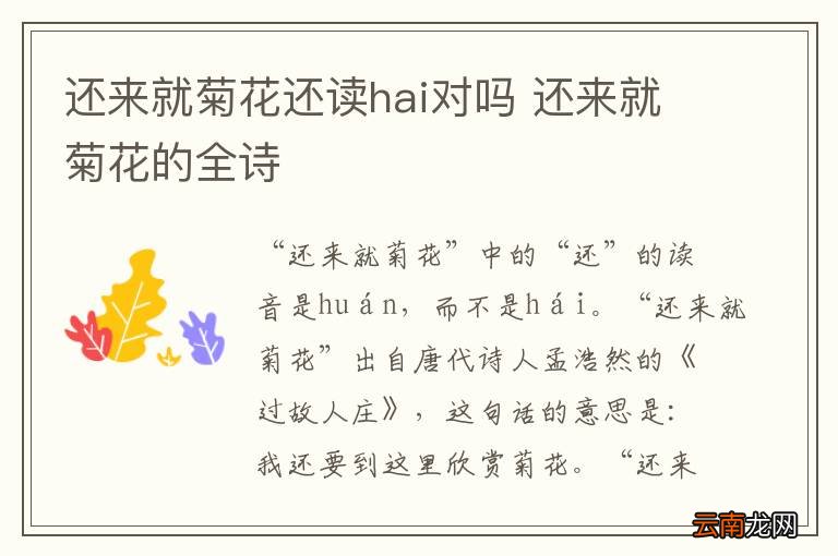 还来就菊花还读hai对吗 还来就菊花的全诗