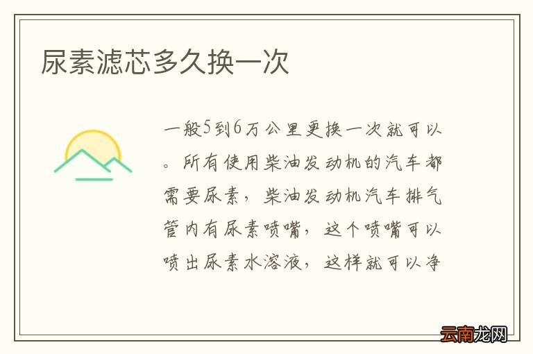 尿素滤芯多久换一次