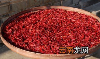 青椒晒成干怎么做 青椒晒成干的方法