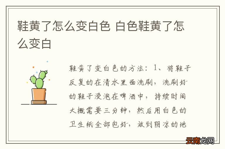 鞋黄了怎么变白色 白色鞋黄了怎么变白