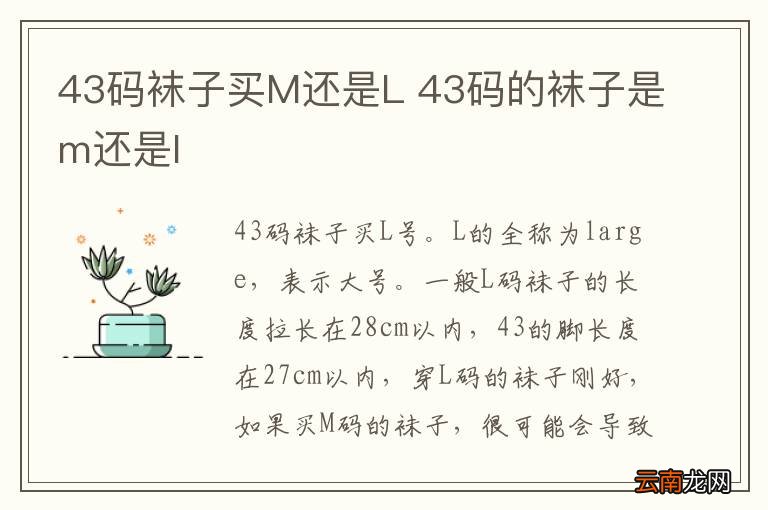 43码袜子买M还是L 43码的袜子是m还是l