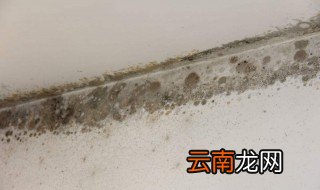 墙壁上的黑霉斑怎么处理? 墙壁上的黑霉斑处理小技巧