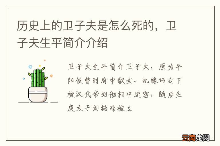 历史上的卫子夫是怎么死的，卫子夫生平简介介绍