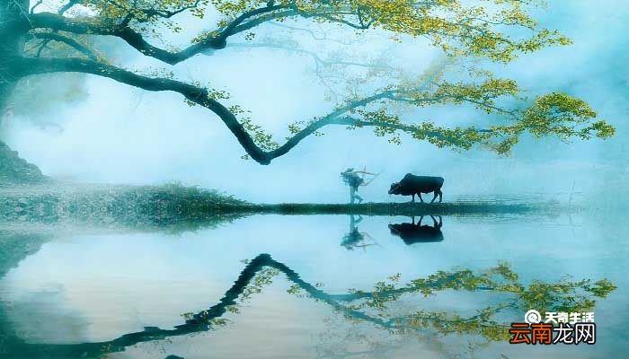 村晚写作背景 村晚写作背景资料