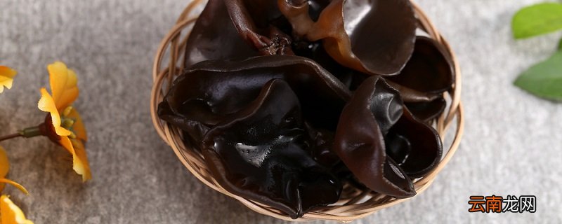 黑木耳的热量 木耳热量发胖吗