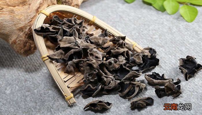 黑木耳的热量 木耳热量发胖吗