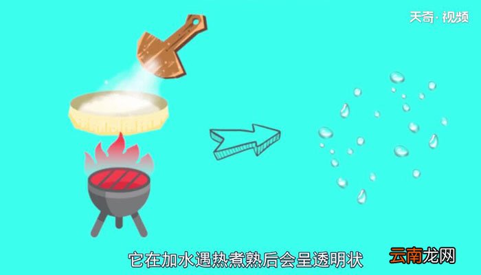 木薯粉是什么木薯粉到底是什么呢