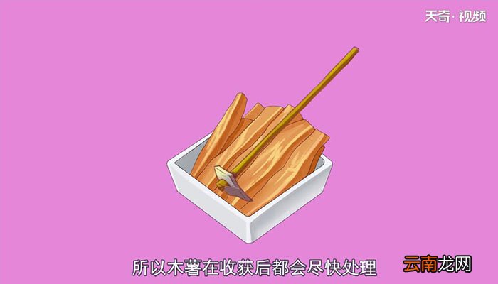 木薯粉是什么木薯粉到底是什么呢