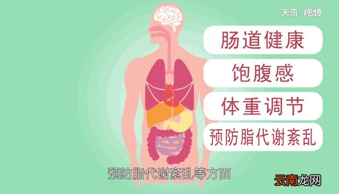 高纤维食物 高纤维的食物有哪些