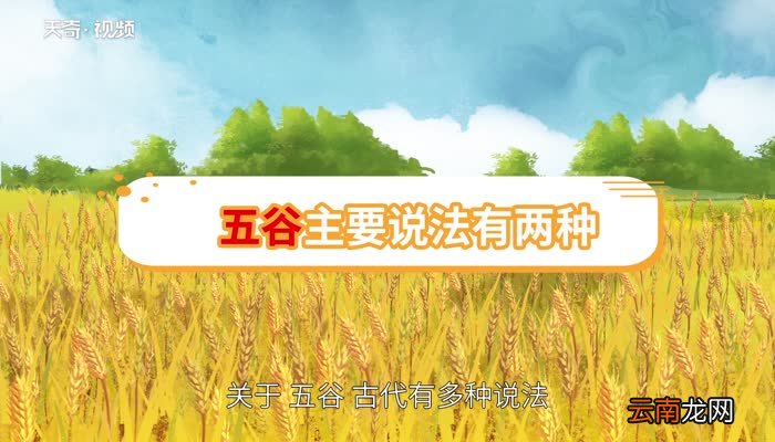 五谷的意思 五谷的解释
