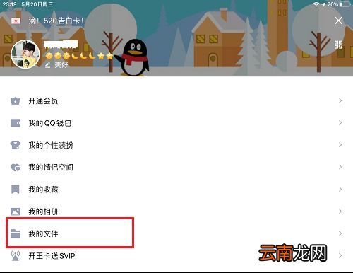 ipad怎么查看本地文件