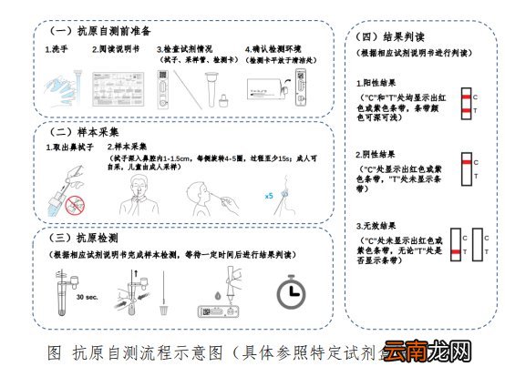 南京新冠抗原自测操作流程有哪些步骤