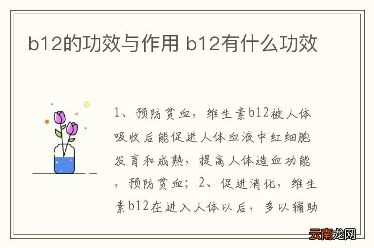 b12的功效与作用 b12有什么功效