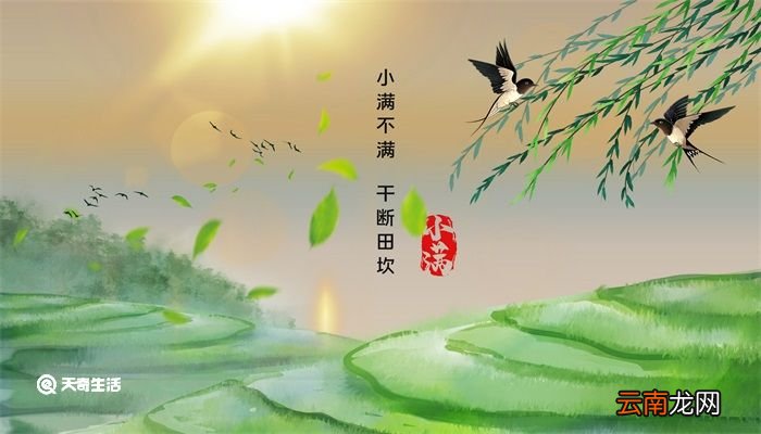 关于小满的人生哲理 关于小满的人生哲理是