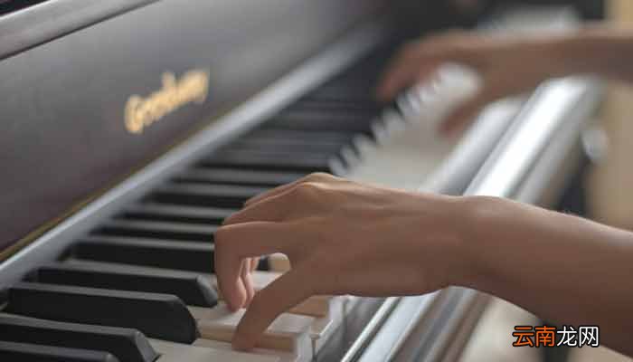 钢琴是什么乐器 钢琴属于什么乐器