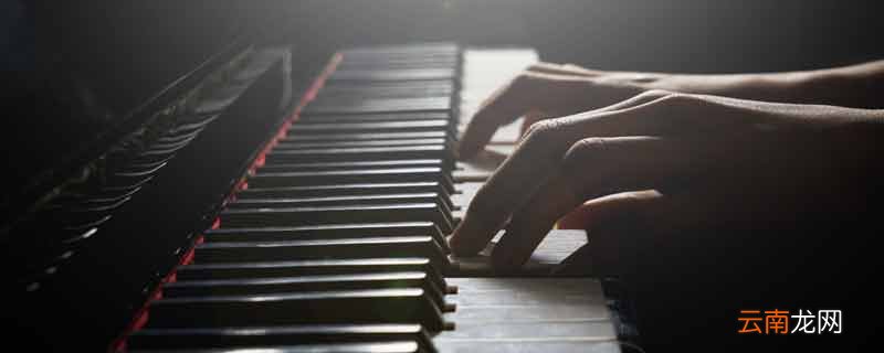 钢琴是什么乐器 钢琴属于什么乐器