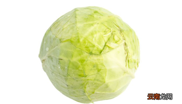 牛心菜可以生吃吗 牛心菜能生吃吗