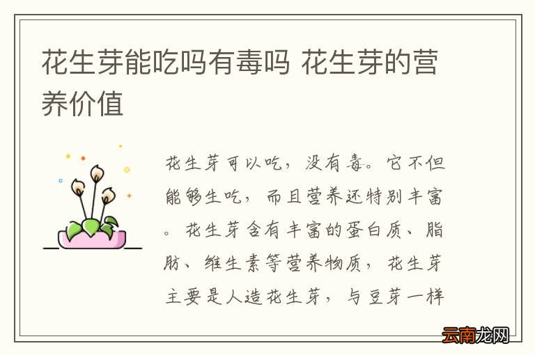 花生芽能吃吗有毒吗 花生芽的营养价值