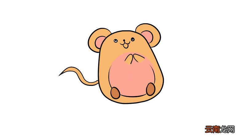 老鼠的简笔画画法老鼠的简笔画步骤